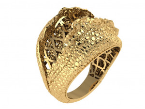 Ring 3D Model