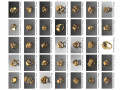 1400 WOMEN RINGS 3DM 3D Model