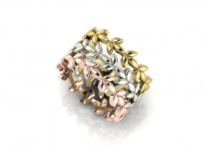 Ring 01 3D Print Model