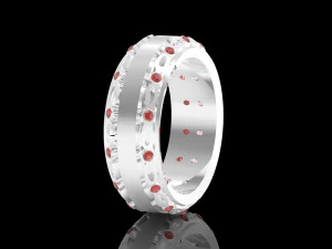 ring lusd 3D Print Model