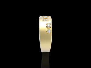 assim ring 3D Print Model