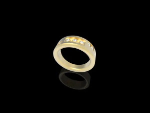 assim ring 3D Print Model