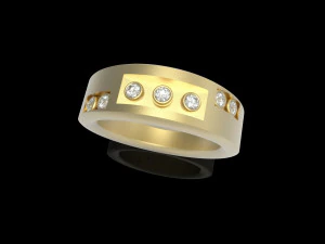 阿西姆环 3D 打印模型