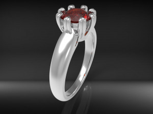 ring wedcor Modello di stampa 3D