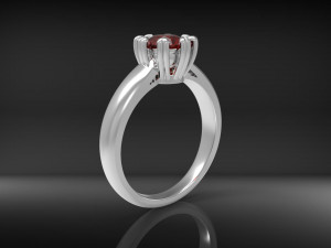ring wedcor 3D Druckmodell