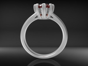 ring wedcor 3D Druckmodell