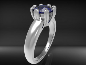ring wedcor 3D Druckmodell