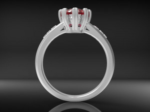 ring wedcorgem 3D Druckmodell