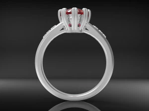 ring wedcorgem 3D Print Model