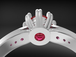 ring wedcorgem 3D Druckmodell