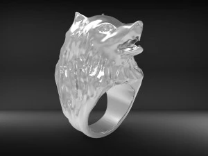 wolfring 3D Print Model