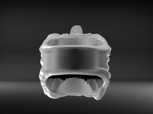 wolfring 3D 프린트 모델