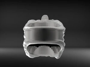 wolfring 3D Print Model