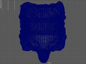wolfring 3D 프린트 모델