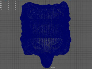 wolfring 3D Print Model