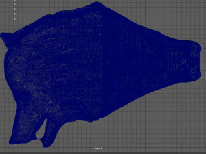 wolfring 3D Print Model