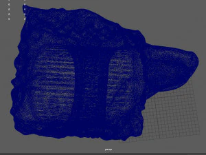 wolfring 3D Print Model