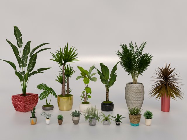 garden and houseplants Modèle 3D .c4d .max .obj .3ds .fbx .stl .blend