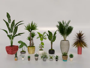 정원과 관엽 식물 3D 모델