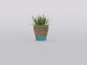 garden and houseplants Modèle 3D