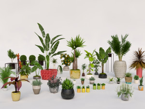 garden and houseplants Modèle 3D