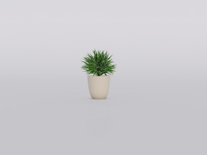 garden and houseplants Modèle 3D