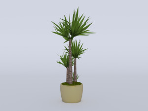 garden and houseplants Modèle 3D