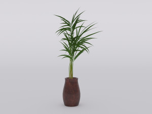 garden and houseplants Modèle 3D
