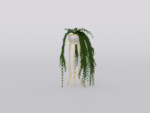 garden and houseplants Modèle 3D