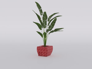 garden and houseplants Modèle 3D