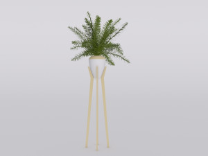 garden and houseplants Modèle 3D