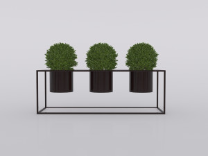 garden and houseplants Modèle 3D