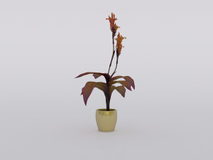 garden and houseplants Modèle 3D