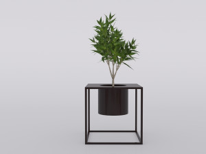 garden and houseplants Modèle 3D