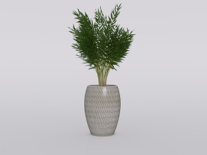 garden and houseplants Modèle 3D