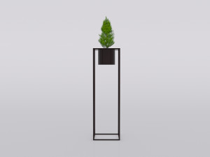 garden and houseplants Modèle 3D