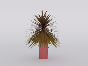garden and houseplants Modèle 3D