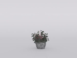garden and houseplants Modèle 3D