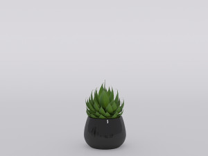 garden and houseplants Modèle 3D