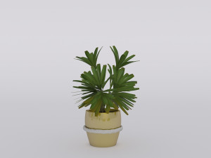 garden and houseplants Modèle 3D