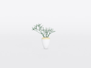 garden and houseplants Modèle 3D