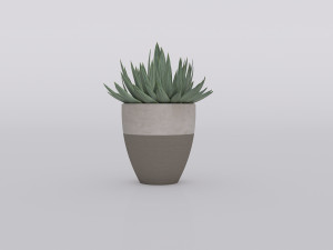 garden and houseplants Modèle 3D