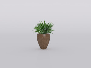 garden and houseplants Modèle 3D