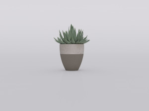 garden and houseplants Modèle 3D