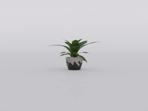 garden and houseplants Modèle 3D
