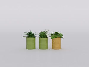 garden and houseplants Modèle 3D