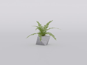 garden and houseplants Modèle 3D