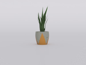 garden and houseplants Modèle 3D