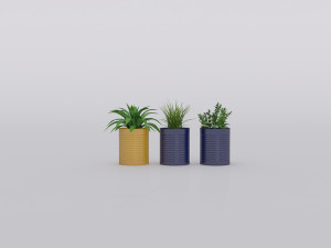 garden and houseplants Modèle 3D