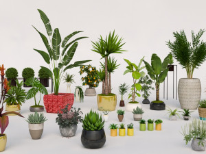 garden and houseplants Modèle 3D